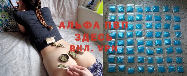 дживик Надым