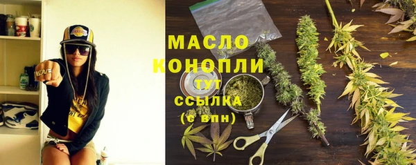 дживик Надым