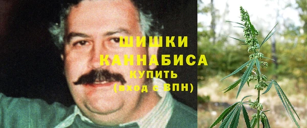дживик Надым