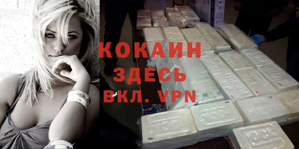 дживик Надым