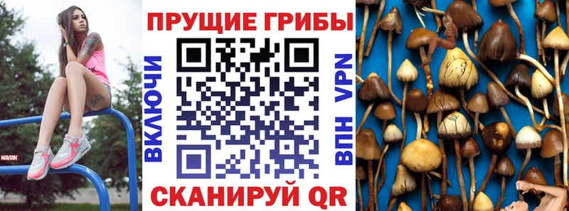 Псилоцибиновые грибы мицелий Олонец