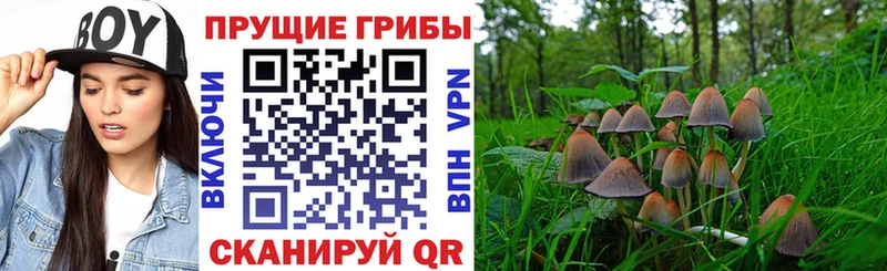 Галлюциногенные грибы GOLDEN TEACHER наркотики МЕГА tor Олонец